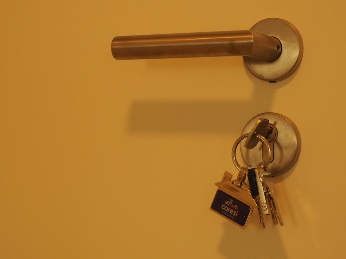 Stil Apartment Brasov Coresi Exteriér fotografie